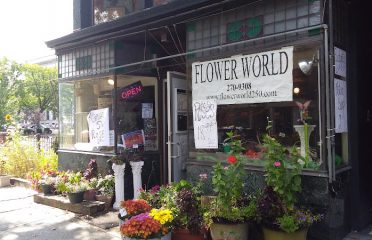 Gift Shops In Albany, NY, Florists In Albany NY, Gifts In Albany NY, Flowers In Albany NY, Gift Baskets In Albany NY, Flower Shops In Albany NY