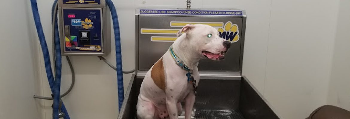 Pet Stores In The Capital Region, Pet Supplies In The Capital Region, Pet Grooming In The Capital Region, Pet Day Care In The Capital Region, Pet Boarding Capital Region, Veterinarians Capital Region, Animal Hospitals Capital Region, Pet Stores Albany NY