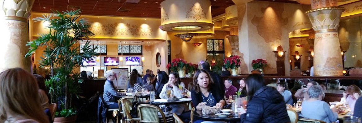 The Cheesecake Factory